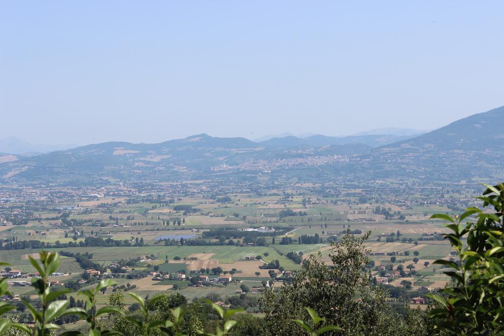 Societa Agricola F.Lli Angelucci Villa Cannara ภายนอก รูปภาพ