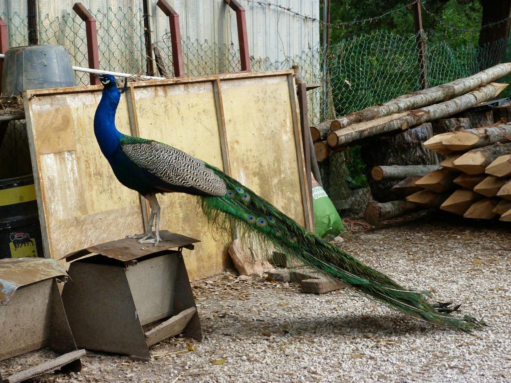 Societa Agricola F.Lli Angelucci Villa Cannara ภายนอก รูปภาพ