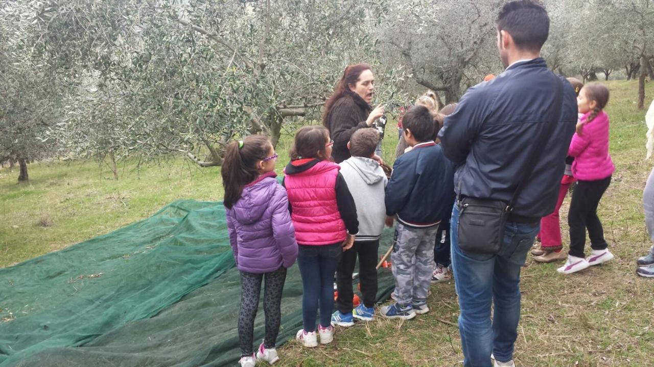 Societa Agricola F.Lli Angelucci Villa Cannara ภายนอก รูปภาพ