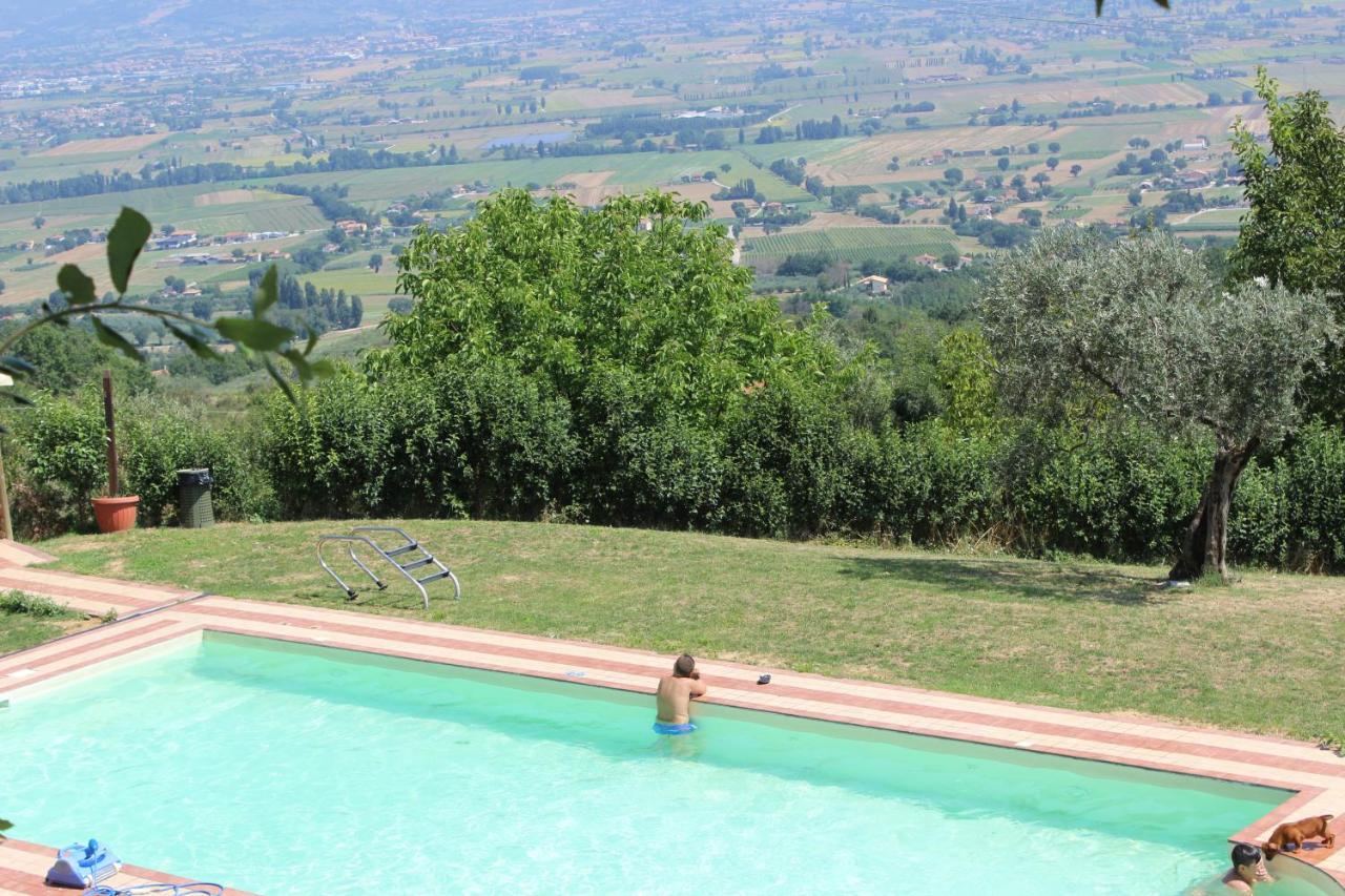 Societa Agricola F.Lli Angelucci Villa Cannara ภายนอก รูปภาพ